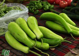 苦瓠子有毒嗎？苦瓠子中毒怎么辦？