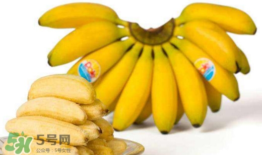 帝王蕉是芭蕉嗎？帝王蕉和芭蕉的區(qū)別