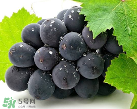 無籽葡萄有哪些品種？無籽葡萄多少錢一斤？