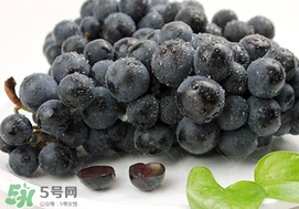 無籽葡萄有哪些品種？無籽葡萄多少錢一斤？