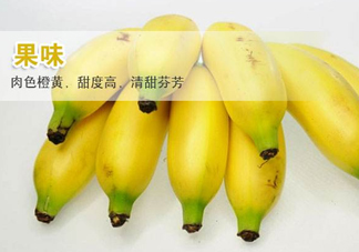 皇帝蕉多少錢一斤？2017皇帝蕉價(jià)格