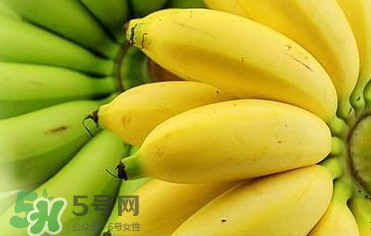 帝王蕉多少錢一斤？帝王蕉是轉(zhuǎn)基因香蕉嗎