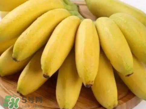 帝王蕉多少錢一斤？帝王蕉是轉(zhuǎn)基因香蕉嗎