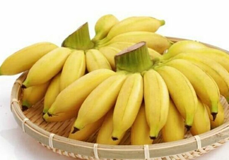 皇帝蕉是芭蕉嗎？皇帝蕉和芭蕉的區(qū)別