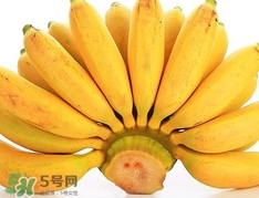 皇帝蕉是芭蕉嗎？皇帝蕉和芭蕉的區(qū)別