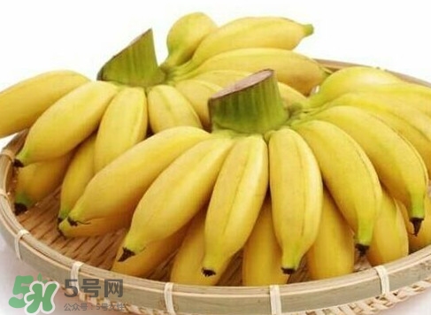 皇帝蕉是芭蕉嗎？皇帝蕉和芭蕉的區(qū)別