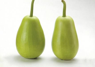 苦瓠子有毒嗎？苦瓠子中毒怎么辦？