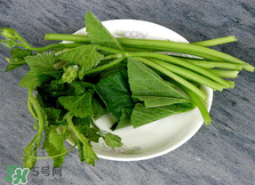 南瓜葉怎么處理？南瓜葉怎么炒？