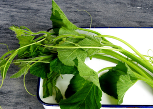 南瓜藤可以和蝦一起吃嗎?南瓜藤和什么相克? 南瓜藤可以和蝦一起吃嗎?南瓜藤和什么相克?