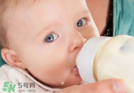 世界一線的奶粉品牌有哪些？全球一流的品牌奶粉有哪些？