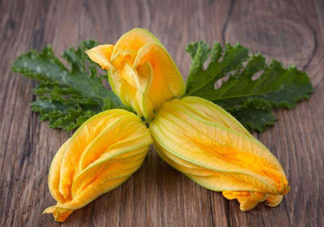 南瓜花花蕊能吃嗎？南瓜花是雌雄同株嗎