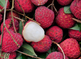 荔枝空腹吃有什么危害？為什么空腹吃荔枝不好？