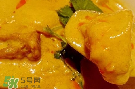 咖喱到底是什么物質？咖喱是植物嗎