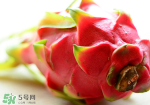 七月份可以種火龍果嗎？火龍果什么時(shí)候種植？