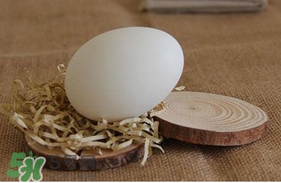 螞蚱菜和鵝蛋能在一起吃嗎？鵝蛋可以和螞蚱菜一起吃嗎