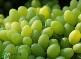 青提怎么洗？青提怎么洗才干凈？