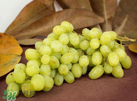 青提怎么洗？青提怎么洗才干凈？