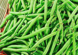 7月份可以種豆角嗎？豆角幾月份種？