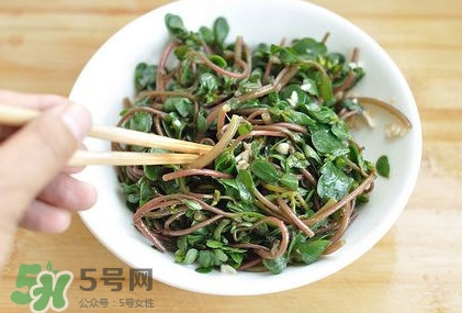 螞蚱菜怎么吃？螞蚱菜怎么做好吃