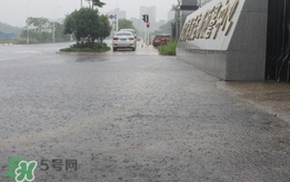 入梅的標準是什么？2017江蘇入梅時間