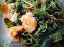 螞蚱菜和鵝蛋能在一起吃嗎？鵝蛋可以和螞蚱菜一起吃嗎