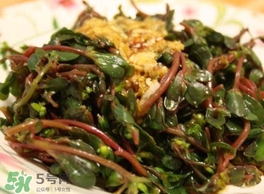 螞蚱菜怎么炒好吃？螞蚱菜做法有哪幾種