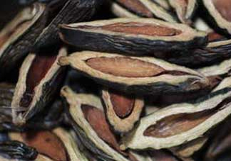 檳榔和煙哪個危害大？第一次吃檳榔什么反應(yīng)