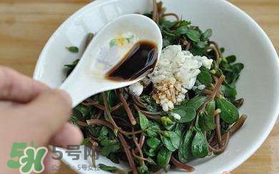 螞蚱菜對人體有哪些好處？螞蚱菜不能和什么一起吃