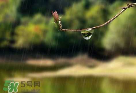 2017年什么時候入梅？2017年入梅出梅時間