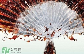 運(yùn)動后可以喝可樂嗎？運(yùn)動后喝可樂會胖嗎？