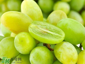 青提怎么保存？青提可以放冰箱嗎？