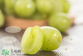 青提怎么保存？青提可以放冰箱嗎？