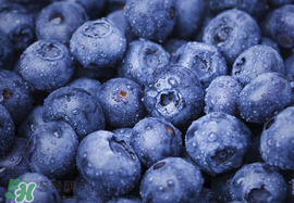 藍(lán)莓什么味道？藍(lán)莓味道是什么樣的？