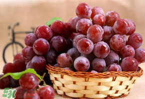 紅提多少錢一斤？紅提子多少錢一斤？