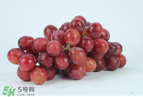 紅提多少錢一斤？紅提子多少錢一斤？