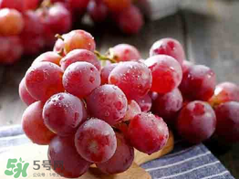 紅提可以放冰箱嗎？紅提放冷庫怎么保存？