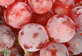 紅提什么時候成熟？紅提什么時候上市？