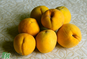 黃桃一天可以吃幾個？黃桃能多吃嗎？