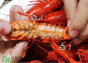 七月份還有小龍蝦嗎？七月份可以養(yǎng)小龍蝦嗎？