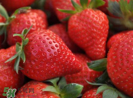 七月份有草莓嗎？7月份有草莓嗎？