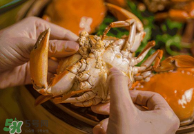 七月份有螃蟹嗎？七月份螃蟹吃公還是吃母？