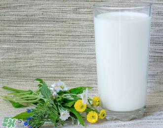 脫脂奶粉哪個牌子好？脫脂奶粉什么品牌的好？