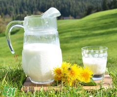 脫脂奶粉什么時(shí)候喝最好？脫脂奶粉什么時(shí)候喝？