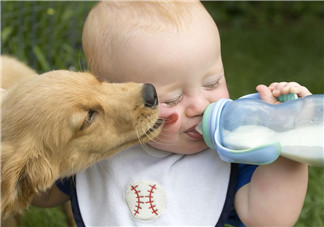 奶粉哪個國家的最好？奶粉哪個國家的奶源好？