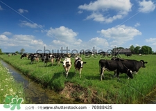 奶粉哪個國家的最好？奶粉哪個國家的奶源好？