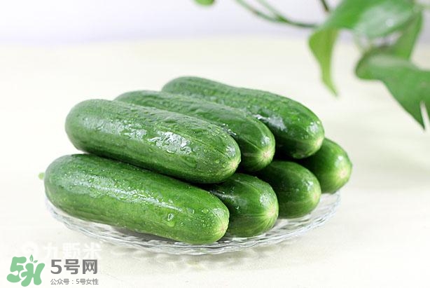 水果黃瓜常溫能放多久？水果黃瓜怎么保存？