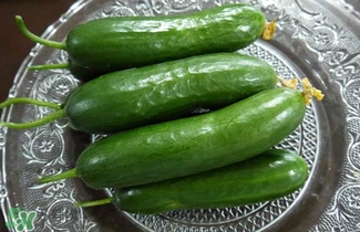 水果黃瓜是轉(zhuǎn)基因嗎？水果黃瓜的功效和作用