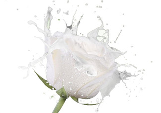 脫脂奶粉可以做酸奶嗎？做酸奶能用脫脂奶粉嗎？