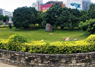 掛綠荔枝為什么這么出名？掛綠荔枝的由來和傳說