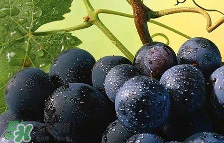 無籽葡萄是打避孕藥的嗎？無籽葡萄對人體有害嗎？